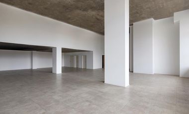 Alquiler Local Comercial, Edificio Central Towers, Neuquen