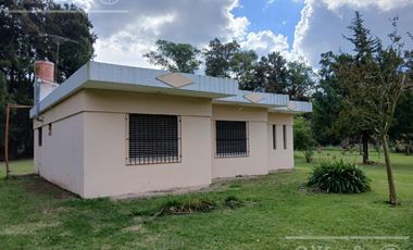 Quinta en Abasto Calle 496 nro 7143 entre 229 y 231