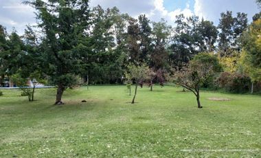 Quinta en Abasto Calle 496 nro 7143 entre 229 y 231