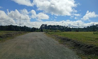 VENTA TERRENO - SITIO 5000MTS Maullín