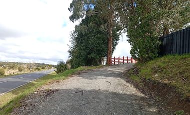 VENTA TERRENO - SITIO 5000MTS Maullín