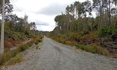 VENTA TERRENO - SITIO 5000MTS Maullín