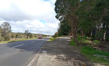 VENTA TERRENO - SITIO 5000MTS Maullín