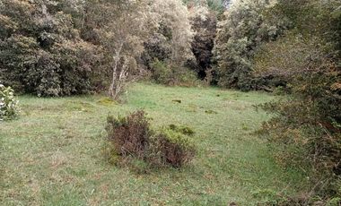 VENTA TERRENO - SITIO 5000MTS Maullín