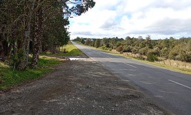 VENTA TERRENO - SITIO 5000MTS Maullín