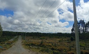 VENTA TERRENO - SITIO 5000MTS Maullín