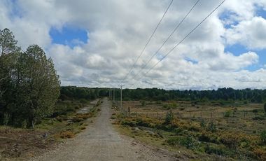 VENTA TERRENO - SITIO 5000MTS Maullín