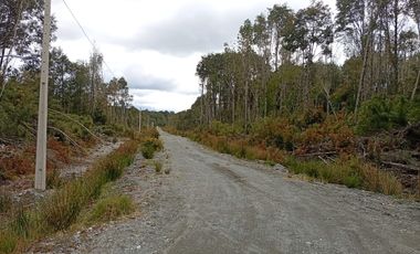 VENTA TERRENO - SITIO 5000MTS Maullín