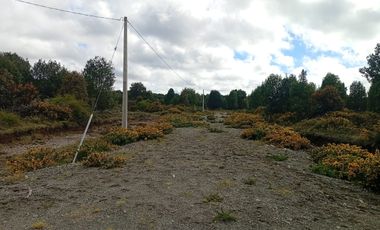 VENTA TERRENO - SITIO 5000MTS Maullín