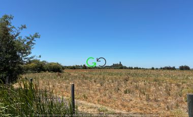 CAMPO DE 48 HÁ EN SECTOR BODEGA EN LONGAVI