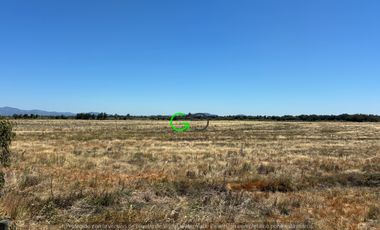CAMPO DE 48 HÁ EN SECTOR BODEGA EN LONGAVI