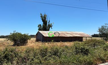 CAMPO DE 48 HÁ EN SECTOR BODEGA EN LONGAVI