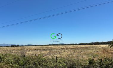 CAMPO DE 48 HÁ EN SECTOR BODEGA EN LONGAVI
