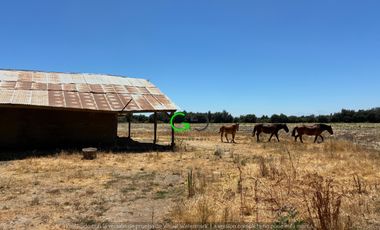CAMPO DE 48 HÁ EN SECTOR BODEGA EN LONGAVI