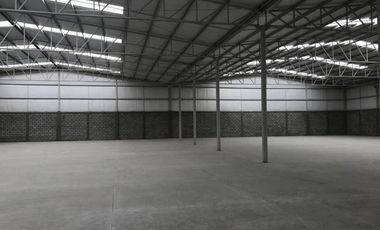 Bodega Comercial en Renta Col. El Castaño, Torreón, Coahuila