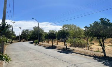 SE VENDE TERRENO DE 7100 M2 - VILLA ALEGRE