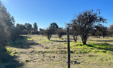 VENDE TERRENO 5000 M2 LOTEO CAUPOLICAN - PENCAHUE