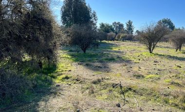 VENDE TERRENO 5000 M2 LOTEO CAUPOLICAN - PENCAHUE