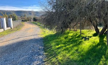 VENDE TERRENO 5000 M2 LOTEO CAUPOLICAN - PENCAHUE