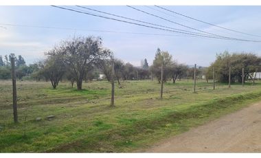 VENDE TERRENO 5000 M2 LOTEO CAUPOLICAN - PENCAHUE