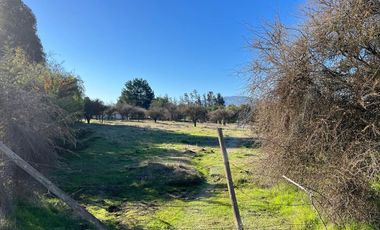 VENDE TERRENO 5000 M2 LOTEO CAUPOLICAN - PENCAHUE