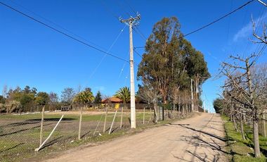 VENDE TERRENO 5000 M2 LOTEO CAUPOLICAN - PENCAHUE