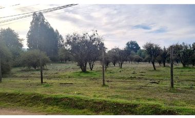 VENDE TERRENO 5000 M2 LOTEO CAUPOLICAN - PENCAHUE
