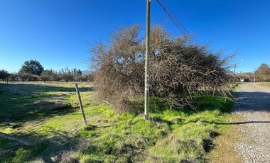 VENDE TERRENO 5000 M2 LOTEO CAUPOLICAN - PENCAHUE