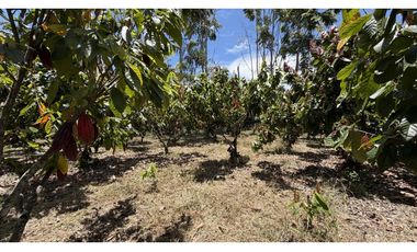 VENTA DE FINCA EN MONTENEGRO, QUINDO, COLOMBIA