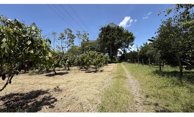 VENTA DE FINCA EN MONTENEGRO, QUINDO, COLOMBIA