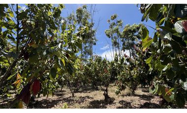 VENTA DE FINCA EN MONTENEGRO, QUINDO, COLOMBIA