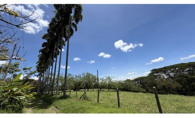 VENTA DE FINCA EN MONTENEGRO, QUINDO, COLOMBIA