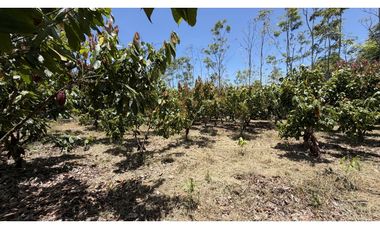 VENTA DE FINCA EN MONTENEGRO, QUINDO, COLOMBIA