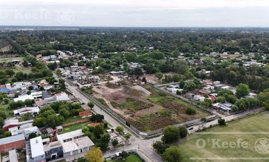 Predio en alquiler de 10.000 m2 con 500 m2 de oficinas - Uso logístico