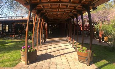 Casa rural con alma de finca. a 4 km de la capital. Mendoza. Rivadavia. terreno 8000 m2