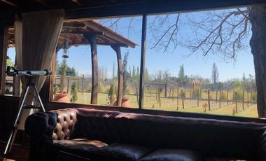 Casa rural con alma de finca. a 4 km de la capital. Mendoza. Rivadavia. terreno 8000 m2