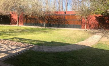 Casa rural con alma de finca. a 4 km de la capital. Mendoza. Rivadavia. terreno 8000 m2