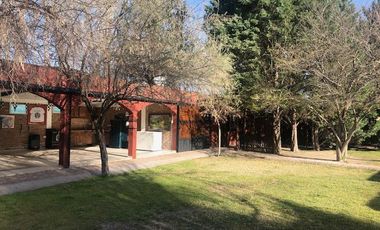 Casa rural con alma de finca. a 4 km de la capital. Mendoza. Rivadavia. terreno 8000 m2