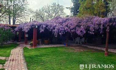 Casa rural con alma de finca. a 4 km de la capital. Mendoza. Rivadavia. terreno 8000 m2