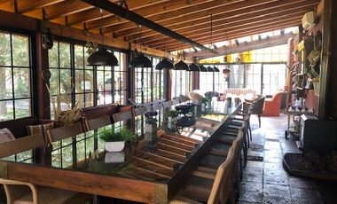 Casa rural con alma de finca. a 4 km de la capital. Mendoza. Rivadavia. terreno 8000 m2