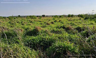 Campo en Venta 2500 has Entre Rios