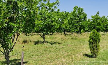 Campo en Venta 2500 has Entre Rios