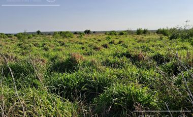 Campo en Venta 2500 has Entre Rios