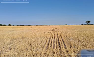 Campo en Venta 2500 has Entre Rios