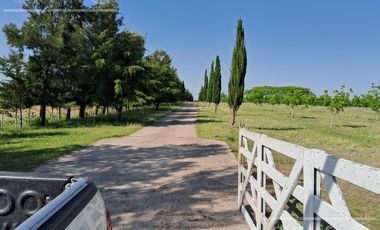 Campo en Venta 2500 has Entre Rios