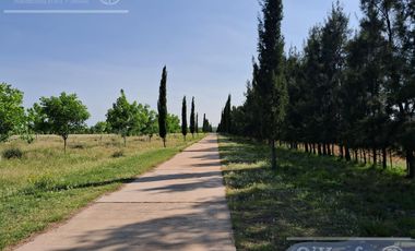 Campo en Venta 2500 has Entre Rios