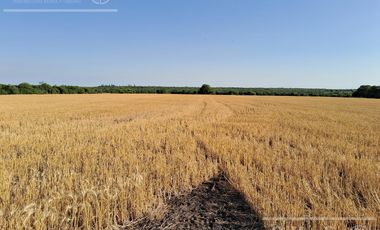 Campo en Venta 2500 has Entre Rios