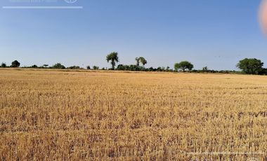 Campo en Venta 2500 has Entre Rios