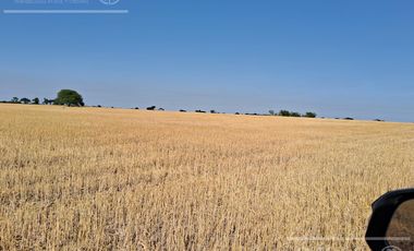 Campo en Venta 2500 has Entre Rios