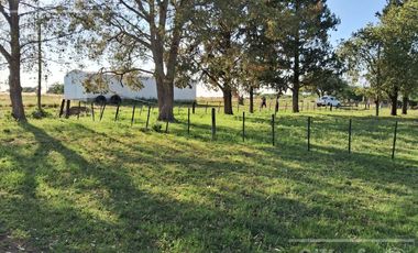 Campo en Venta 2500 has Entre Rios